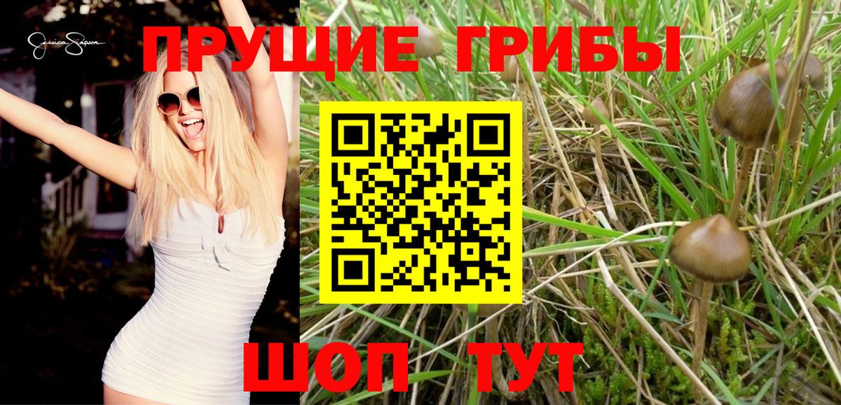 Реутов  Галлюциногенные грибы мицелий  Галлюциногенные грибы Cubensis  купить наркотик  Вход с VPN 