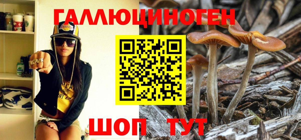 Псилоцибиновые грибы MAGIC MUSHROOMS Реутов