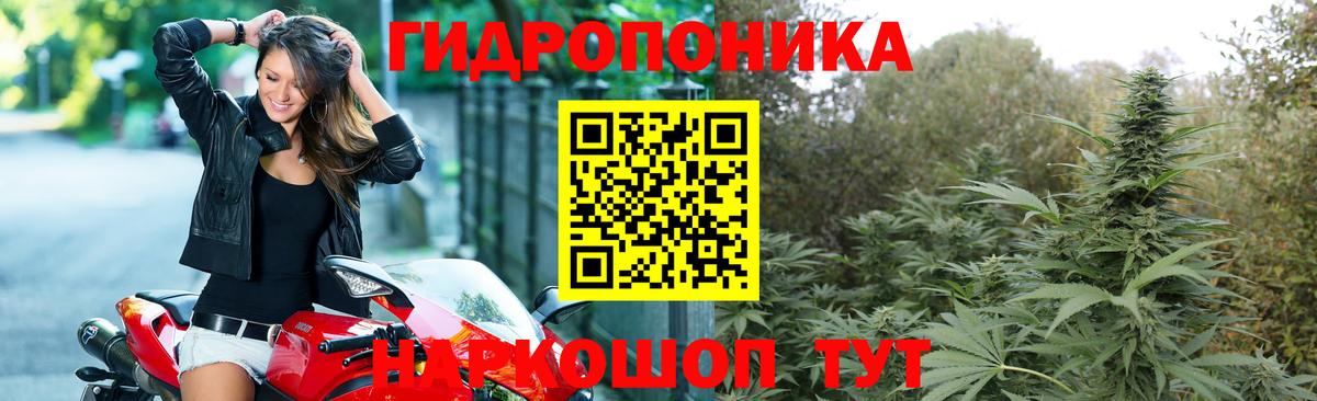 Канабис VHQ Реутов
